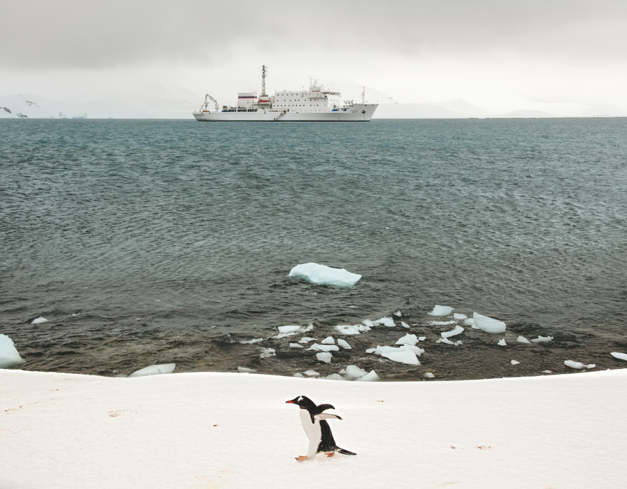 L’Akademik Ioffe au loin